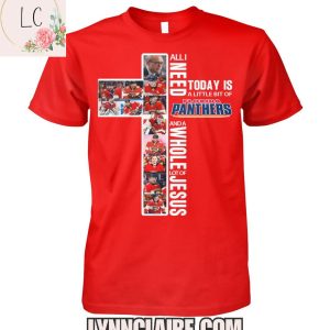 Limited Edition All I Need Today Is A Little Bit Of Florida Panthers And A Whole Lot Of Jesus 2D T-Shirt